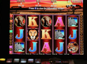 星空综合app电脑免费版