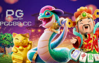 星空综合app正式版