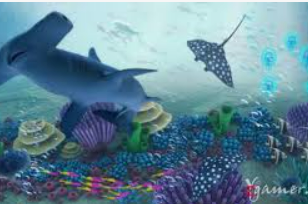 星空综合app电脑免费版