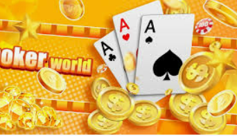 星空综合app2024最新版