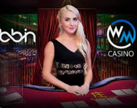 星空综合app手机版