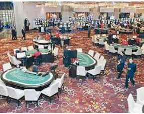 星空综合app免费版