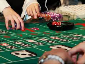 星空综合app最新版